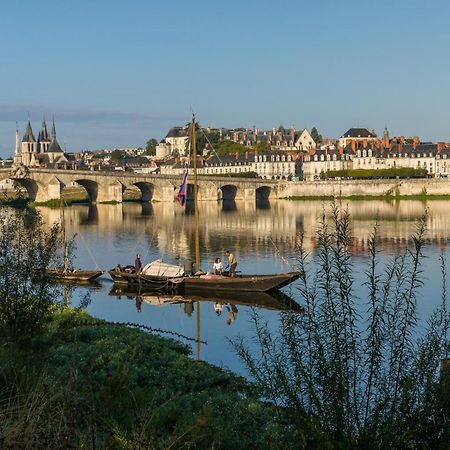 Le Wilson - Vue Imprenable Sur La Loire Et Le Chateau De Μπλουά Εξωτερικό φωτογραφία